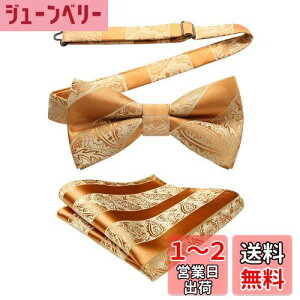 yz[HISDERN] S[h lN^C Y ^b` `[t Zbg VN {E^C  yCY[  Nbv ȒPE 畞 v[g BR-02
