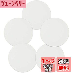 yzyMeister LoX 5Zbg ~ ی^ 100 AN  G G{[h (a20cm)