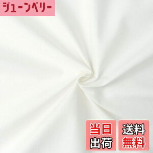 yz{Rtf(Nippon Chuko) GCeBXNGA n n 100% V[eBO AC{[ n Ж110cm×50cmؔJbg KD4630-102-50CM n nn GCeBXNGA