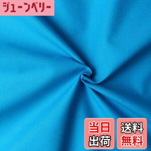 yz{Rtf(Nippon Chuko) GCeBXNGA n n 100% V[eBO ^[RCY u[n Ж108cm×50cmؔJbg KD4630-247-50CM