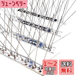 yzONESORA  悯 100%XeX o[hs ϋv y 3mz 悯 XpCN 悯 R LhS JX悯 ̃tQ΍  x_ J[|[g  Ԍ A