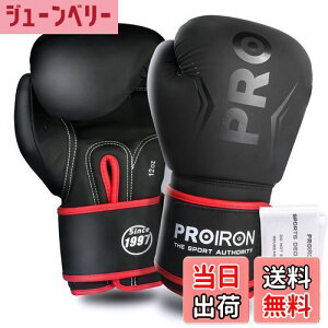 �y���������zPROIRON �{�N�V���O�O���[�u 12oz �{�N�V���O�p�O���[�u �p���`���O�O���[�u ���� �ϋv�������� ���K boxing gloves �����e�i���X�o�b�O�t�� 1�N�Ԃ̕ۏ�