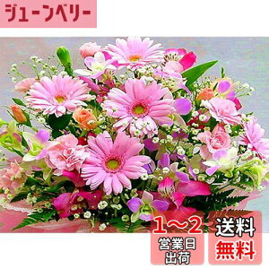 yzDIYNXXeb`Lbg_ChG5DhLbgAsN̔WOWDECORthDIY_ChA[gyCgG (t[Y)