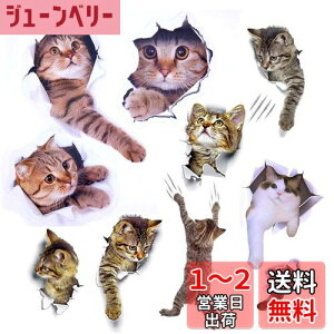 yzPazi EH[XebJ[ L   XebJ[ ˂ V[ 킢 3D ȒP DIY  \Ă͂  ǎ gC  Lb` CeA