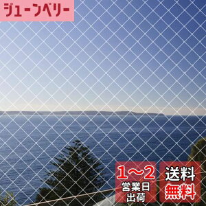 yzhlbg x_悯lbg 4m×10m JX ΍h ʎ؍͔|hblbg LNEh~ F ioh 15{tjLimthe