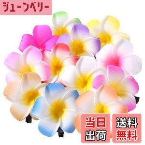 yzFrcolor  wAs wANbv  vA wAANZT[ wANbv nC  wbhhX 6cm 12F 24Zbg