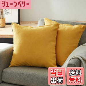 yzTopfinel NbVJo[ lۂ 45×45cm k  Ȗ n \t@w Jo[ zcJo[ CG[ 2ZbgiS10Fj