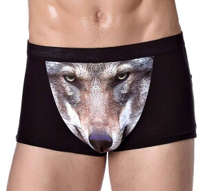 yzYiyiLai _[ {NT[pc Y   O z ʋC {NT[u[t [CY Ci[ j