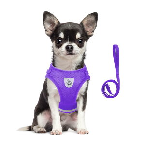 yzmeioro pn[lX[hZbg pXgbv pxXgn[lX Ȃ ˃Xgbvt Ԕˍ |GXef AɗD }WbNe[vt ̈