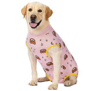 yzKUVEELA PET p㕞  p㕞 pEFA pJo[ ی앞 앞 D  ی 畆a ^ ^