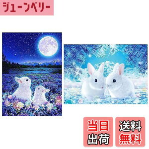 yzTRX _CAhA[g Lbg 2 SҌ _CAhh r[YA[g Sʓ\t Ǐ DIYH|i _CAhA[g