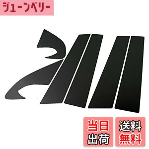 �y���������zBRIGHTZ �f���A���X J10 �����ʃu���b�N���b�L�s���[�p�l���J�o�[ 6PC �o�C�U�[�����p �y PIL-BLA-249 �z 5107
