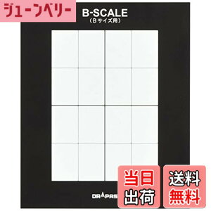 �y���������z�h���p�X B-SCALE B�X�P�[�� �f�b�T���p B��p���� 54012