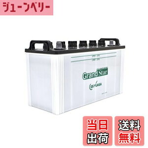 yzGS YUASA [ W[GXAT ] dԃobe[ [ TCNT[rXp~dr ] EB100-TE