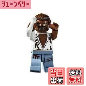 yzS(LEGO) ~jtBMA V[Y4 Tj (Minifigure Series4) 8804-12