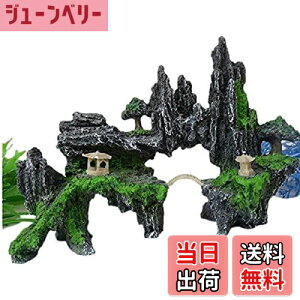 yzANZT[ ANAE Όi prI bN VF^[