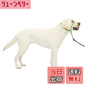 【送料無料】PetSafe（ペットセーフ）犬の引っ張り防止グッズ ジェントルリーダー ヘッドカラー