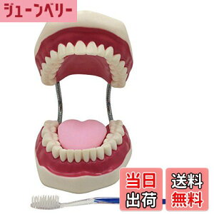 yz^͌^ ^  o ͌^ ݂͂ Kp c  w  K fXg[V uV & ۑܕt