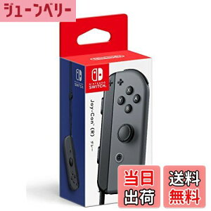 yzyCVizJoy-Con (R) O[