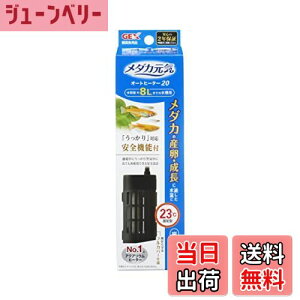 yzGEXWFbNX _JC I[gq[^[ 20 23xۉ cݒu S@\t SPKiK 2N 8Lȉ̐p 20W