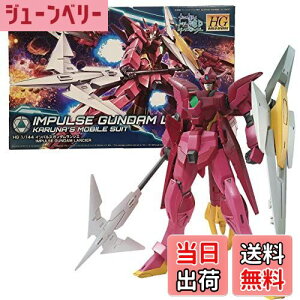 yzHGBD K_rh_Co[Y CpXK_VG 1/144XP[ Fς݃vf