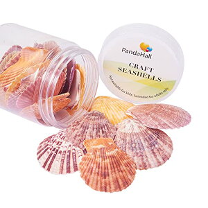 yzPandaHall 25/ VRf ~bNX r[` VF Lk Zbg }G r[` WG[p lbNX DIY WG[p nhCh | p[c W UVW