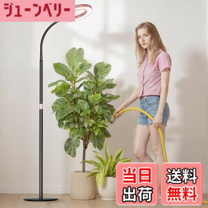 �y���������zbseah�����A���������A�S�X�y�N�g�������������A3��ނ̃��[�h��10���̒��� �F�F�u���b�N�A�T�C�Y�F��^-��