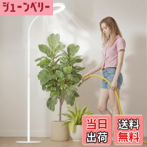 �y���������zbseah�����A���������A�S�X�y�N�g�������������A3��ނ̃��[�h��10���̒��� �F�F�z���C�g�A�T�C�Y�F��^-��