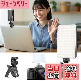 【送料無料】撮影用ライト クリップ+掛け式 スマホ ライト 撮影 色温度2500K-9000K 無段階調光調色 120LED リングライト スマホ 360度回転可能 スマホ撮影ライト 小型 スマホ 照明 充電式 ビデオライト 1/4''ネジ穴付き 撮影用 照明 配信 ウェブ会議 照明/ 色：ブラック