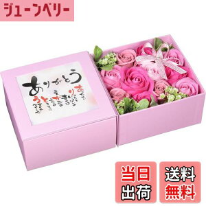 yzL[t(Q-FLA) \[vt[  oXtOX |G{bNX ̓ 蕨 FFsN/sNATCYFW30.5×D9×H15.5cm