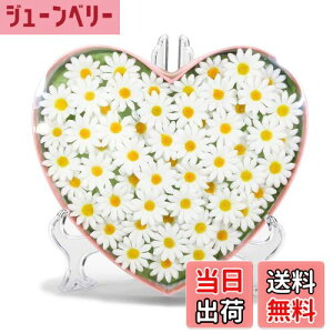 yzL[t(Q-FLA) \[vt[ n[g{bNX Mtg j FFzCgATCYFW23×D22×H5cm