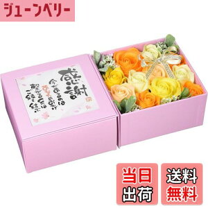 yzL[t(Q-FLA) \[vt[  oXtOX |G{bNX ̓ 蕨 FFsN /IWATCYFW30.5×D9×H15.5cm