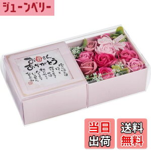 yzL[t(Q-FLA) \[vt[  oXtOX |G{bNX ̓ 蕨 FFsN /sNATCYFW30.5×D9×H15.5cm