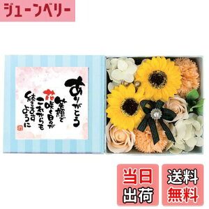 yzL[t(Q-FLA) \[vt[ oX tOX Ђ܂ |G {bNX bZ[W J[h Mtg v[g FFpXeIWATCYFW30.5×D9×H15.5cm