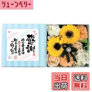 yzL[t(Q-FLA) \[vt[ oX tOX Ђ܂ |G {bNX bZ[W J[h Mtg v[g FFpXeIWATCYFW30.5×D9×H15.5cm