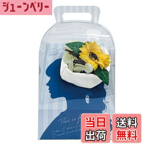 yzL[t(Q-FLA) \[vt[ oX tOX  Rlbgu[P Ђ܂ Mtg v[g q} 803253 FFЂ܂