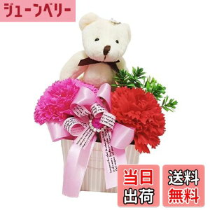 yzL[t(Q-FLA) \[vt[ xA AW J[l[V Mtg 蕨 FFbhATCYFW10×D10×H20cm