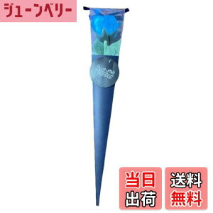 yzL[t(Q-FLA) \[vt[ 1 Kelee u[P ԑ 蕨  Mtg FFu[ATCYFW7×D7×H40cm