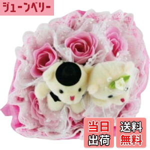 yzL[t(Q-FLA) \[vt[ tOX u[P sN v[g j ԑ XZH-5 FFsNATCYF17×H36cm