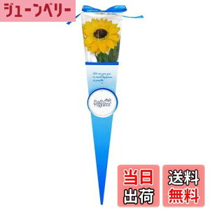 yzL[t(Q-FLA) \[vt[  oXtOX q} P[ CG[ 1 ̓ Mtg 769009 FFCG[ATCYFW8×D8×H40cm