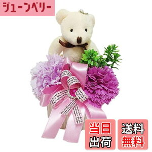 yzL[t(Q-FLA) \[vt[ xA AW J[l[V Mtg 蕨 FFp[vATCYFW10×D10×H20cm