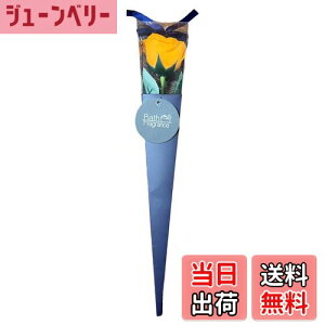 yzL[t(Q-FLA) \[vt[ 1 Kelee u[P ԑ 蕨  Mtg FFIWATCYFW7×D7×H40cm