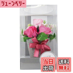 yzL[t(Q-FLA) \[vt[ AW Mtg 蕨 FFsN/SGATCYFW13×D13×H22.2cm