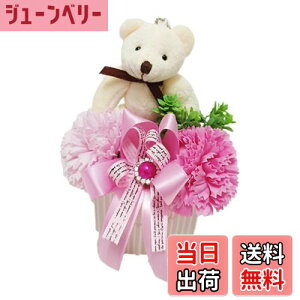 yzL[t(Q-FLA) \[vt[ xA AW J[l[V Mtg 蕨 FFsNATCYFW10×D10×H20cm