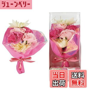 yzfCYCu[ oXt[u[P [Y̍(ԑ ԕ AeB[N g oXMtg v[g) FFsN