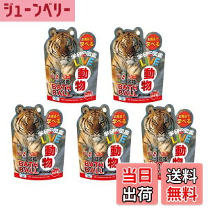 yzy5Zbg + AălbgtzmR[|[V w̐}ӃCu oX{[ }XRbg    oX{ oXObY Y_ ~j}ӕt  j̎q m