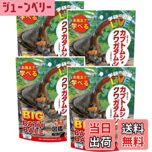 yzy4ZbgzmR[|[V w̐}LIVE JugV NK^V rbOoX{[ 180g }XRbg ~j}ӕt   GKN-8-01 }XRbg   