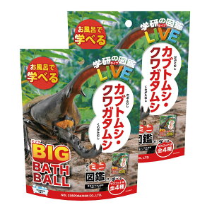 yz oX{[ w̐}LIVE JugV NK^V rbO 2Zbg }XRbg C  oX{ q Mtg