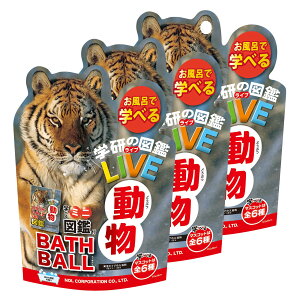 yz oX{[ w̐}LIVE  3Zbg }XRbg C  oX{ q Mtg