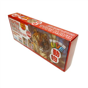 yzy RXgR zw̐} LIVE LbdoX{[  6